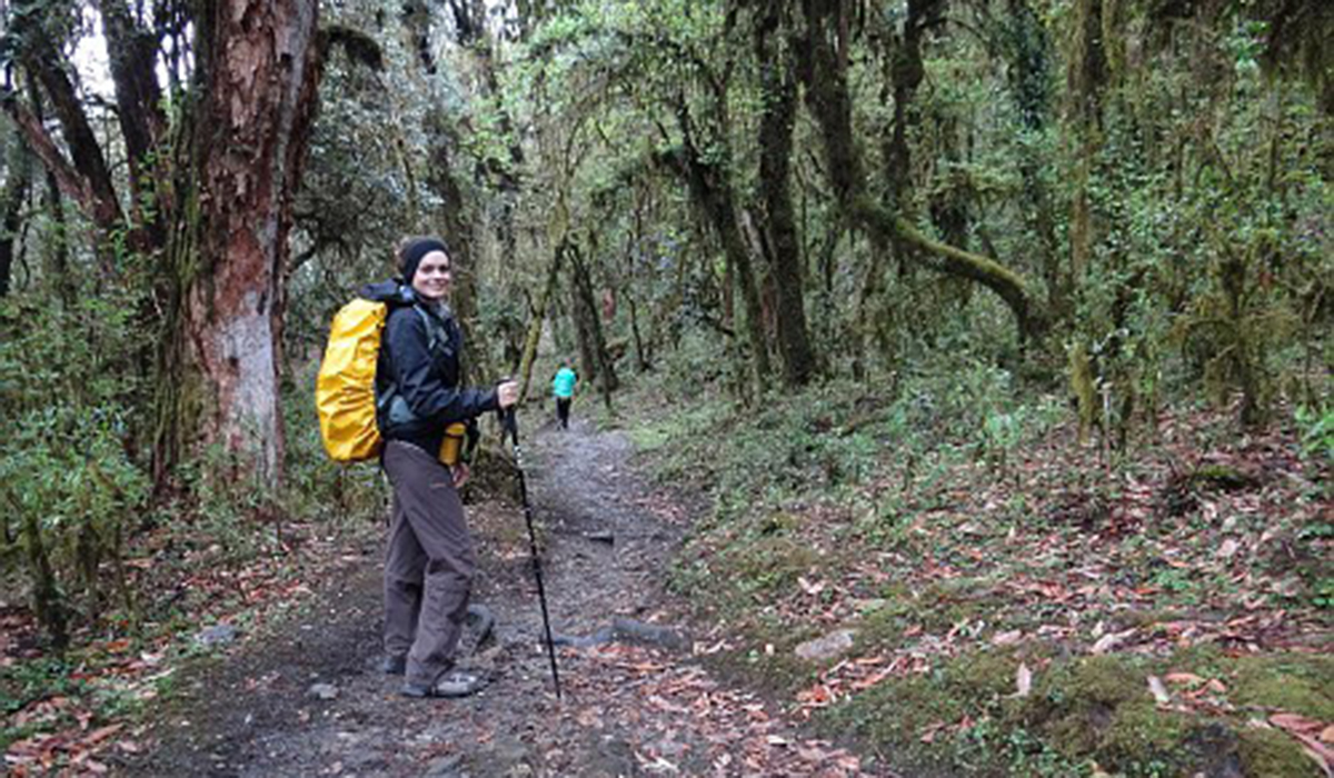 Os vídeos do Trekking ao Annapurna