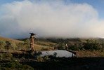 Foto: Amandina Morbeck