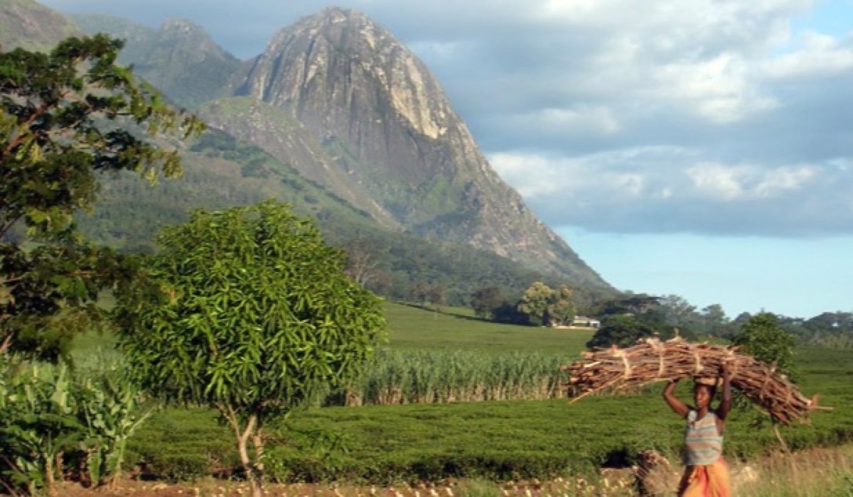 Malaui