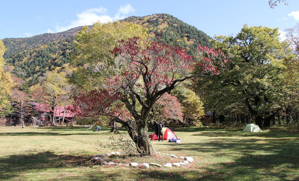 As cores do outono chegando para deixar nossa despedida ainda mais encantadora. Foto: Fabiana Atallah