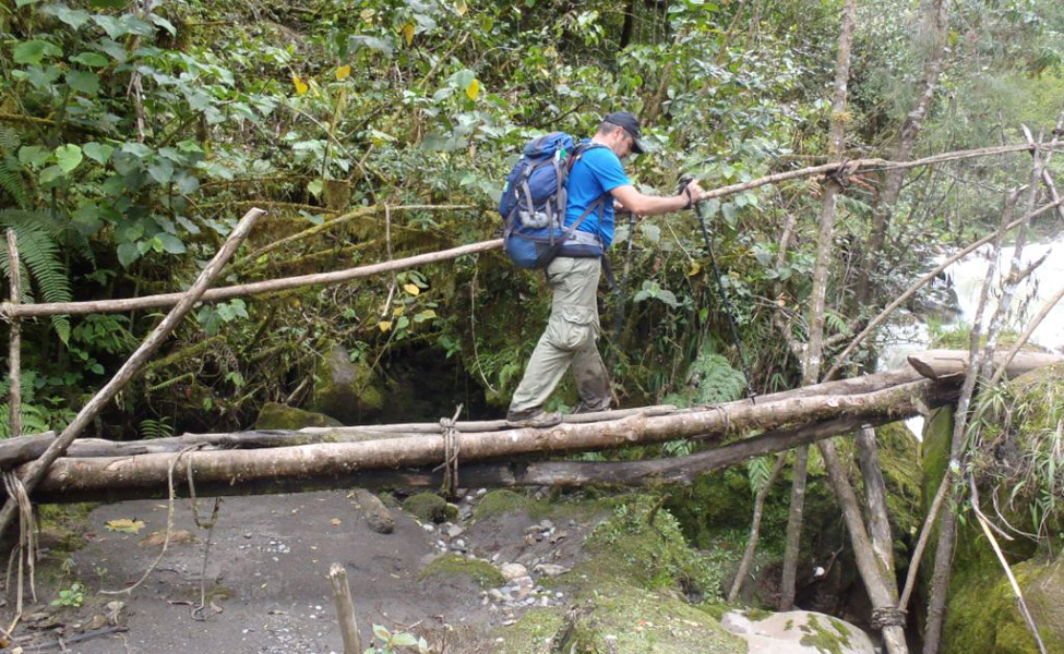Pontes de madeira e cipó