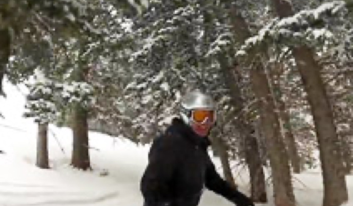 Snowboard entre as árvores