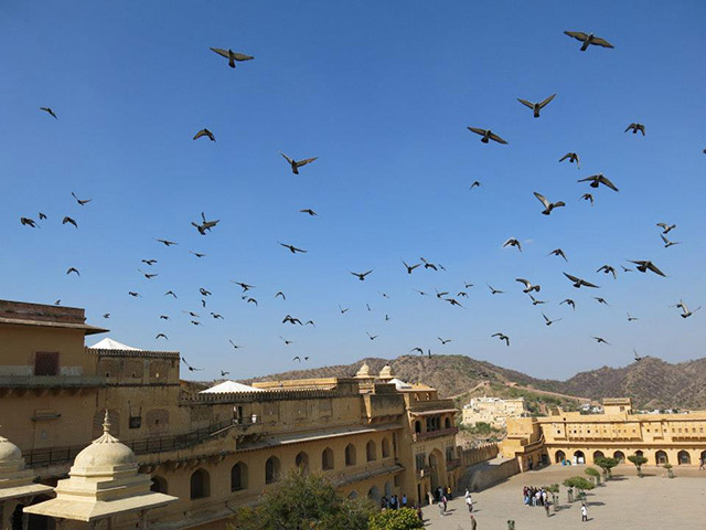 Foto: Karina e Pablo