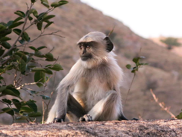 Foto: Karina e Pablo