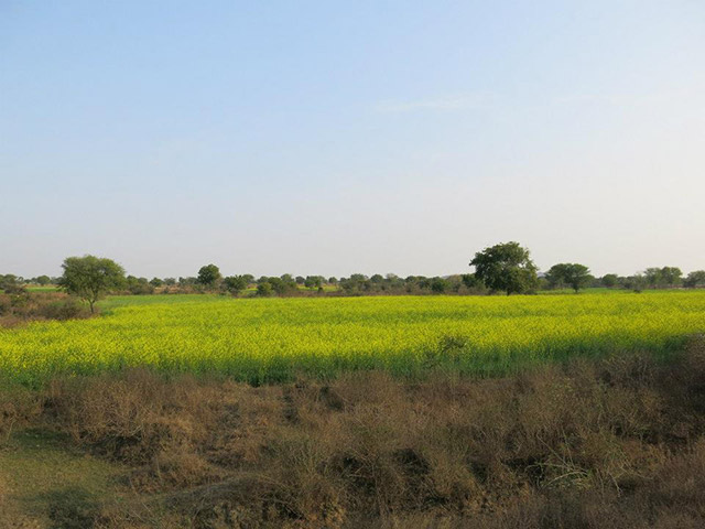 Foto: Karina e Pablo