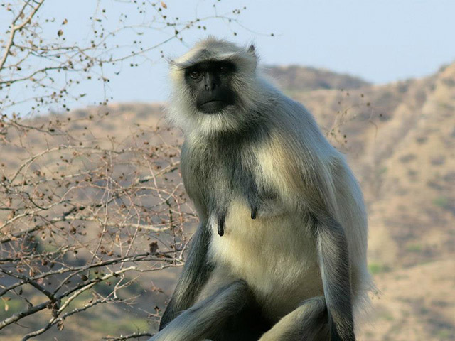 Foto: Karina e Pablo