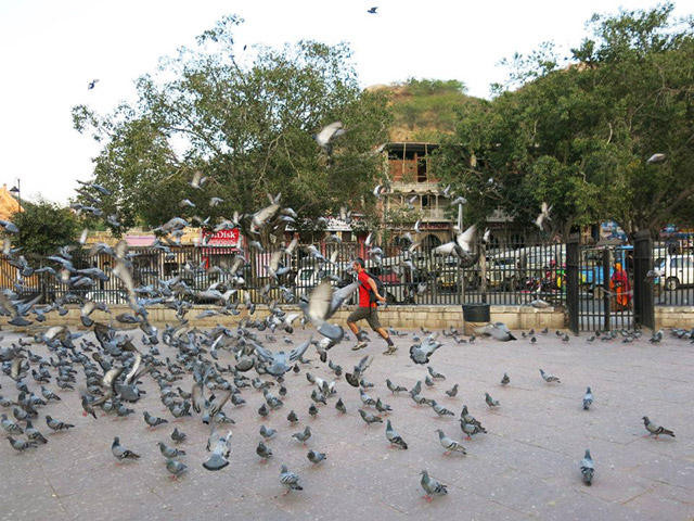 Foto: Karina e Pablo