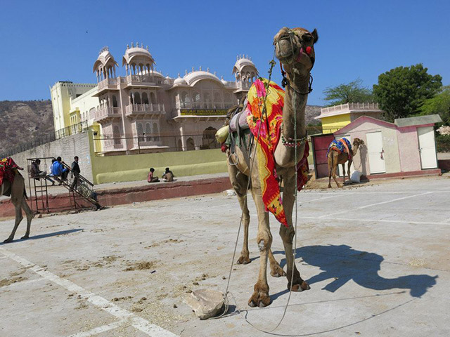 Foto: Karina e Pablo