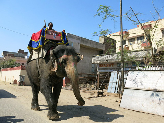 Foto: Karina e Pablo