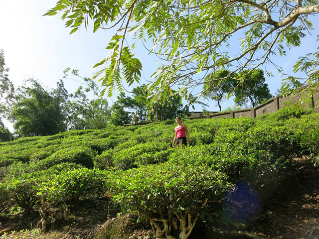 Foto: Karina e Pablo