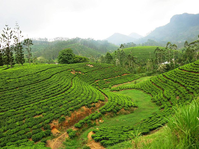 Foto: Karina e Pablo