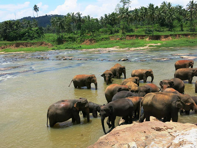 Foto: Karina e Pablo