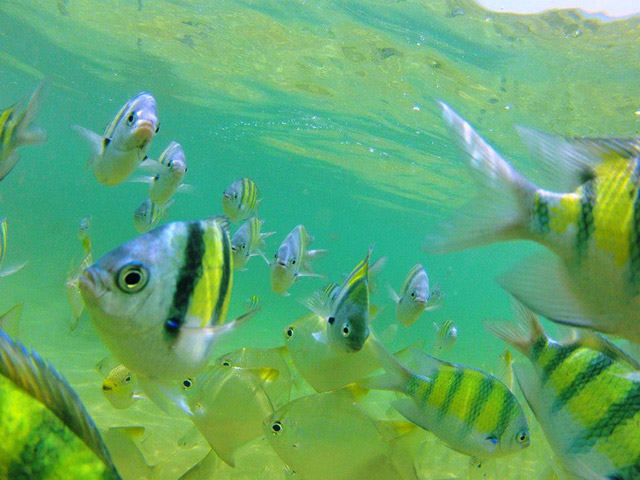 Foto: Karina e Pablo