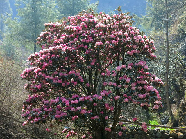 Foto: Karina e Pablo