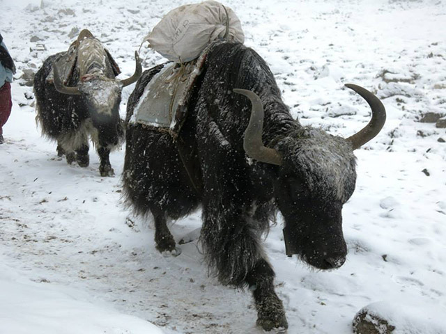 Foto: Karina e Pablo