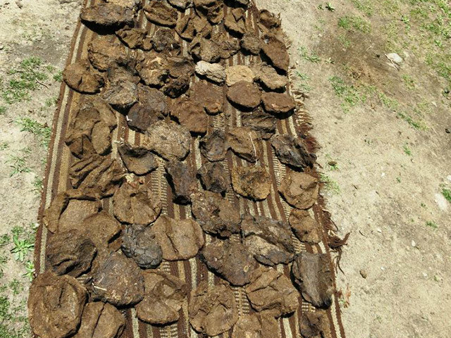 Foto: Karina e Pablo