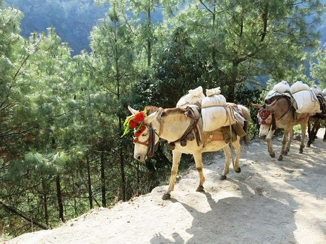 Foto: Karina e Pablo