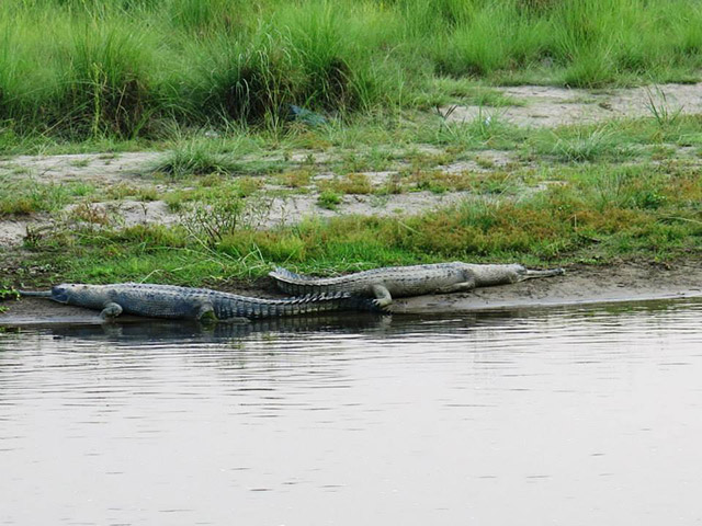 Foto: Karina e Pablo