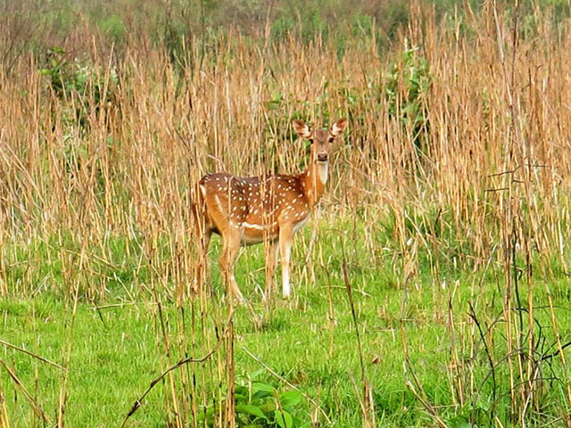 Foto: Karina e Pablo