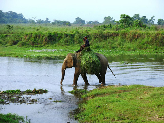 Foto: Karina e Pablo
