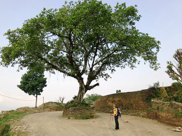 Foto: Karina e Pablo