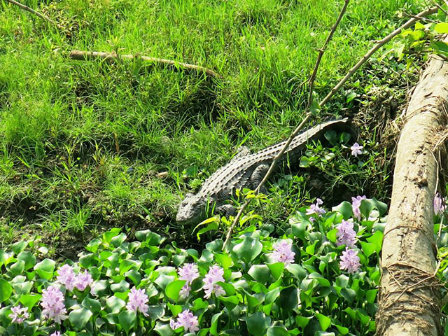 Foto: Karina e Pablo