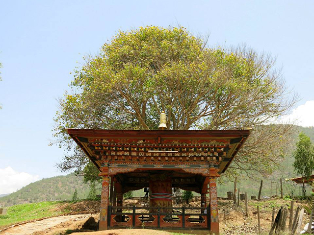 Foto: Karina e Pablo