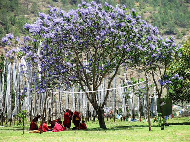 Foto: Karina e Pablo