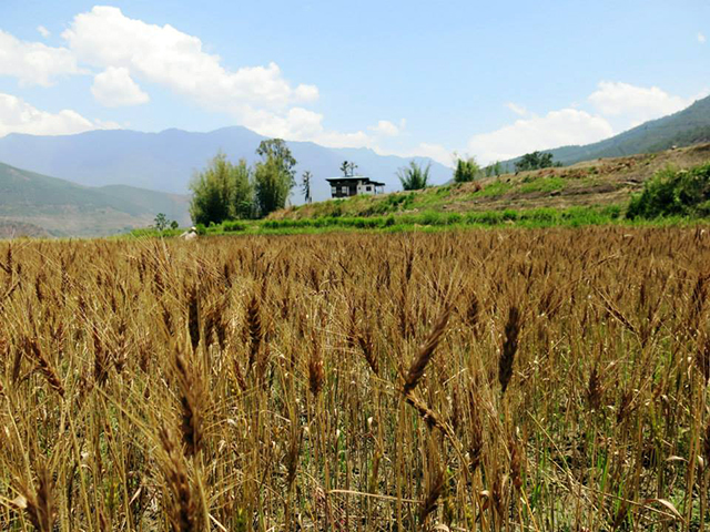 Foto: Karina e Pablo