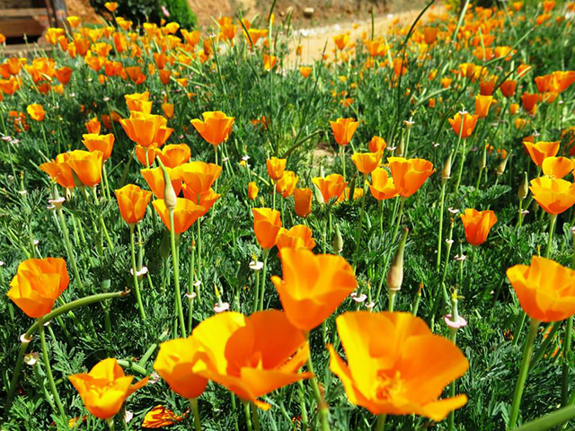 Foto: Karina e Pablo