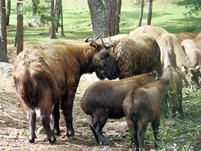 Foto: Karina e Pablo