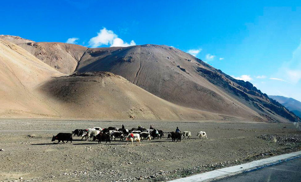 Foto: Karina e Pablo