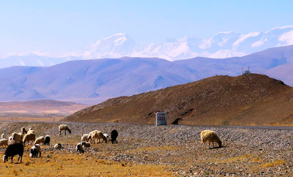 Foto: Karina e Pablo