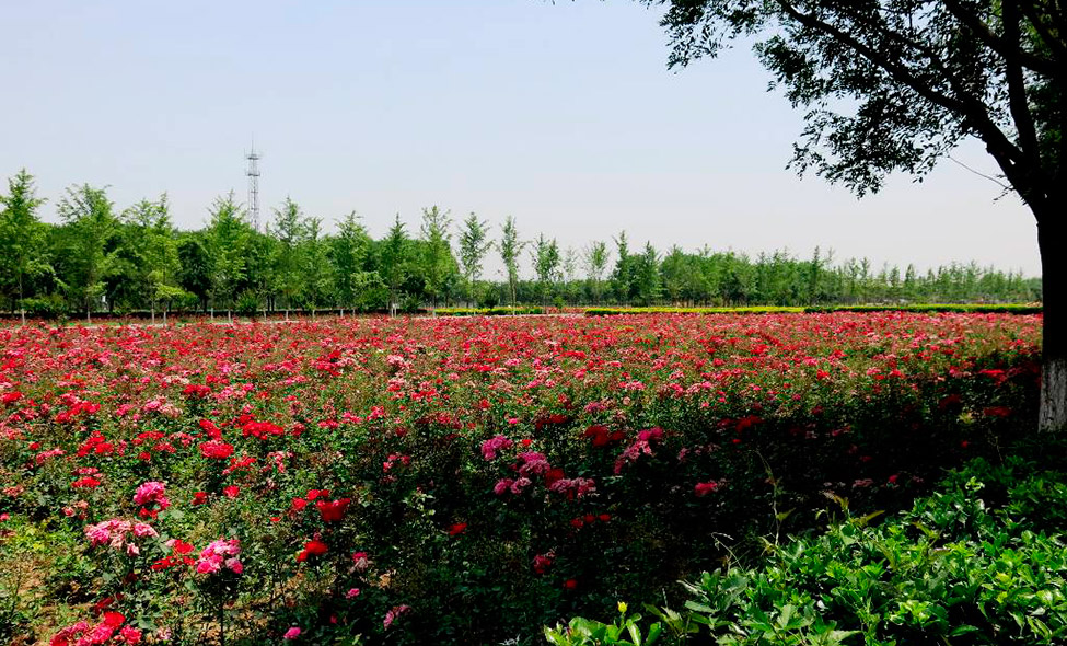 Foto: Karina e Pablo