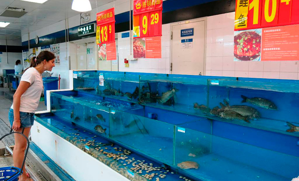 Foto: Karina e Pablo