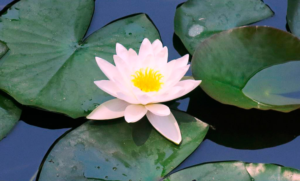 Foto: Karina e Pablo