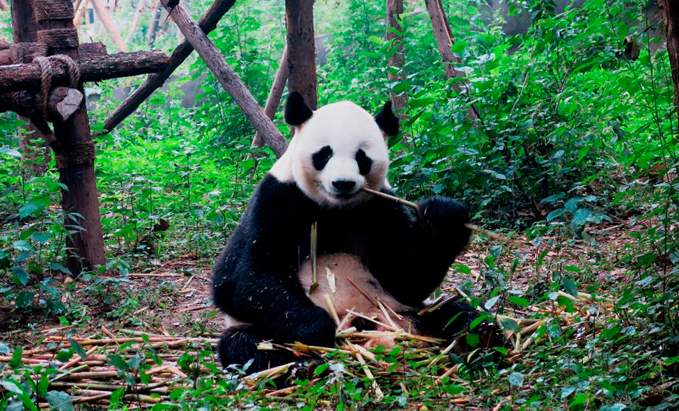 Foto: Karina e Pablo