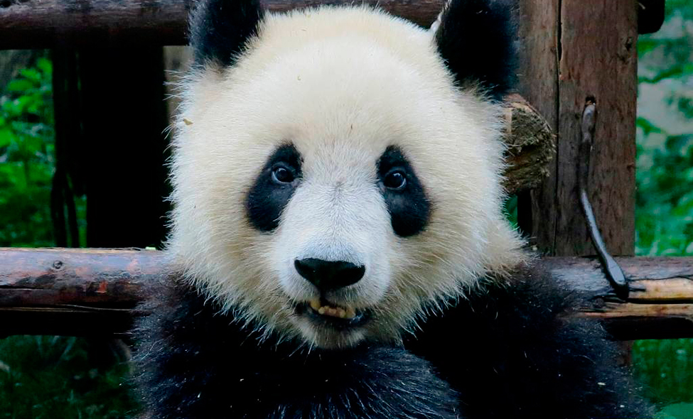 Foto: Karina e Pablo