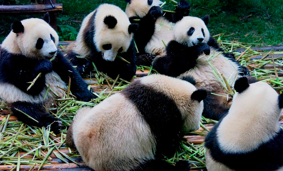 Foto: Karina e Pablo