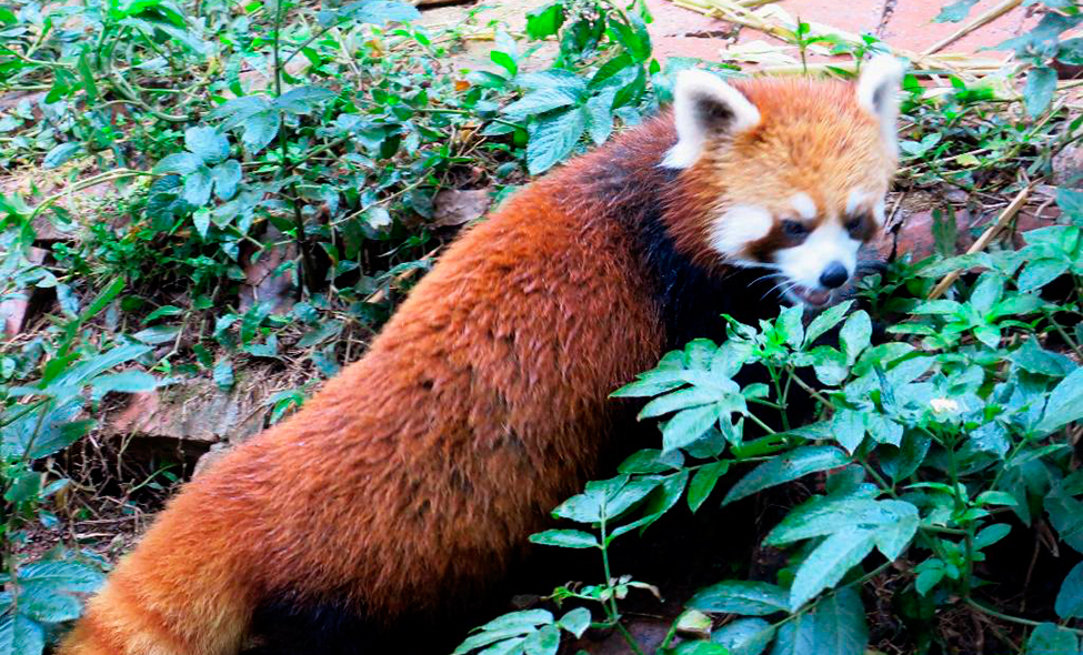 Foto: Karina e Pablo