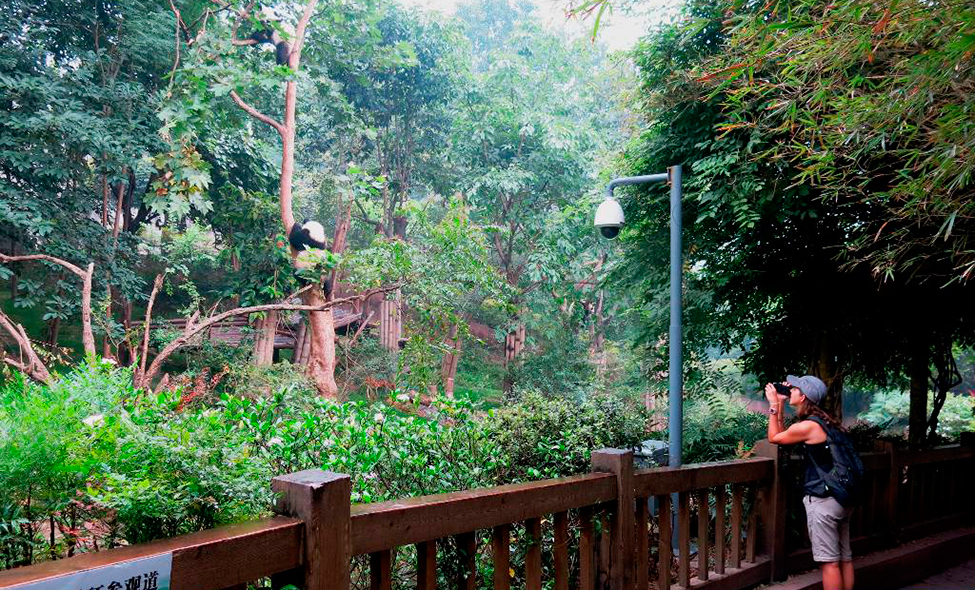 Foto: Karina e Pablo