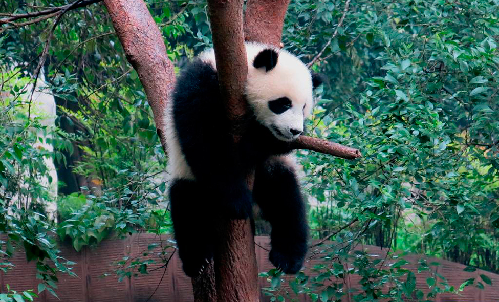 Foto: Karina e Pablo