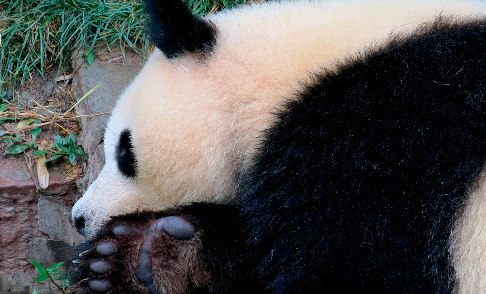 Foto: Karina e Pablo