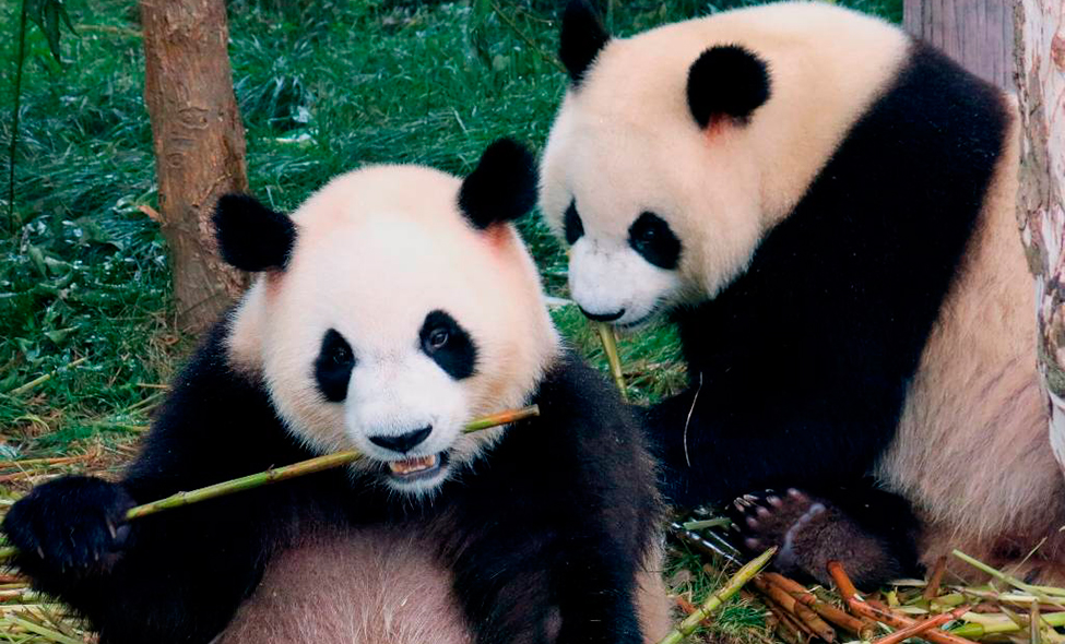 Foto: Karina e Pablo