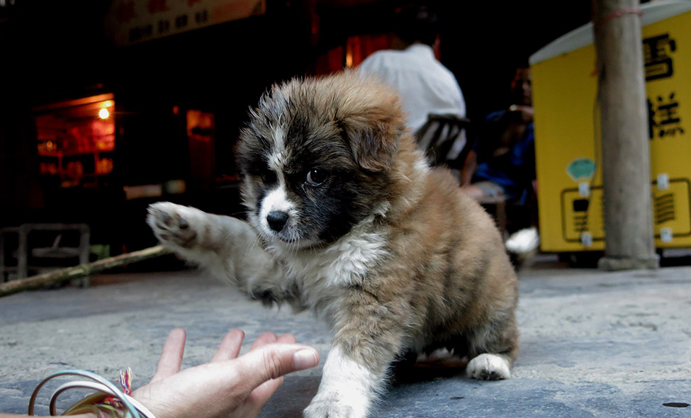 Foto: Karina e Pablo