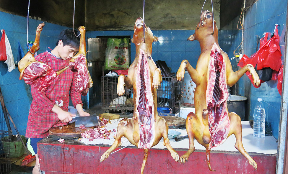 Foto: Karina e Pablo