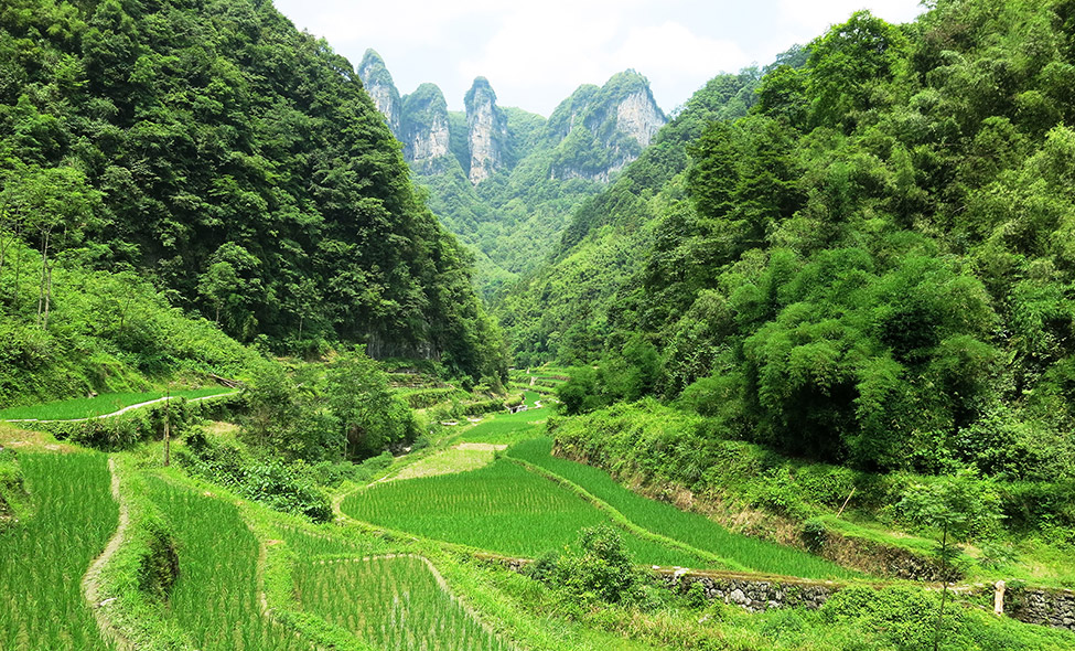 Foto: Karina e Pablo