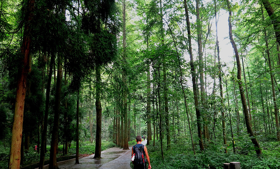 Foto: Karina e Pablo