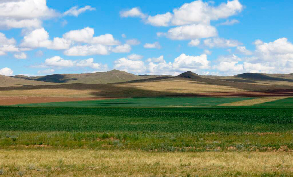 Foto: Karina e Pablo