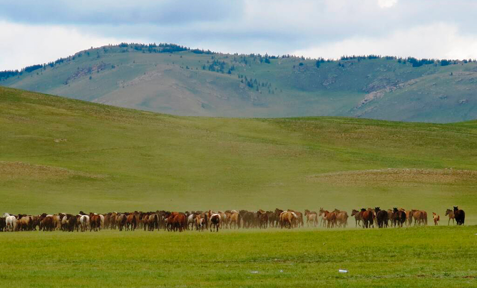 Foto: Karina e Pablo